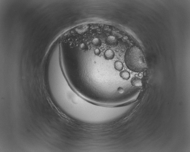 X0000083981318200702232034