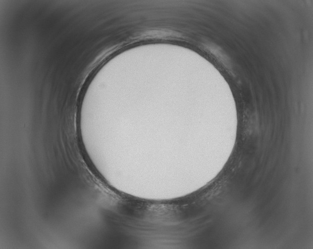 X0000083981322200702232034