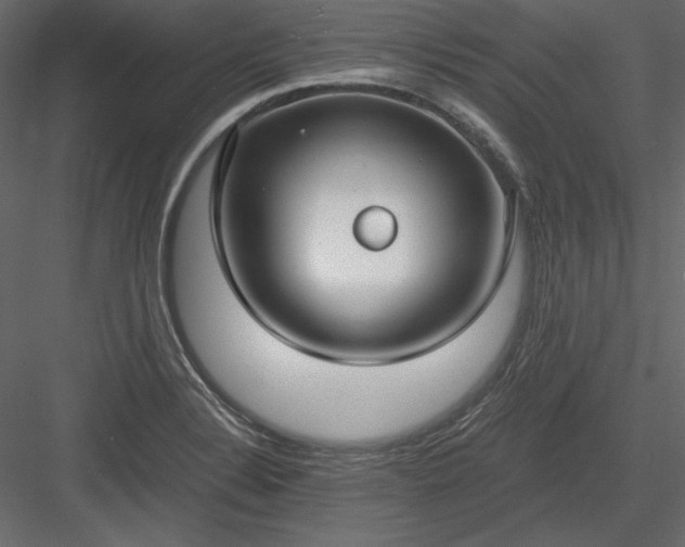 X0000083981324200702232034
