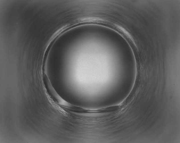 X0000083981330200702232034