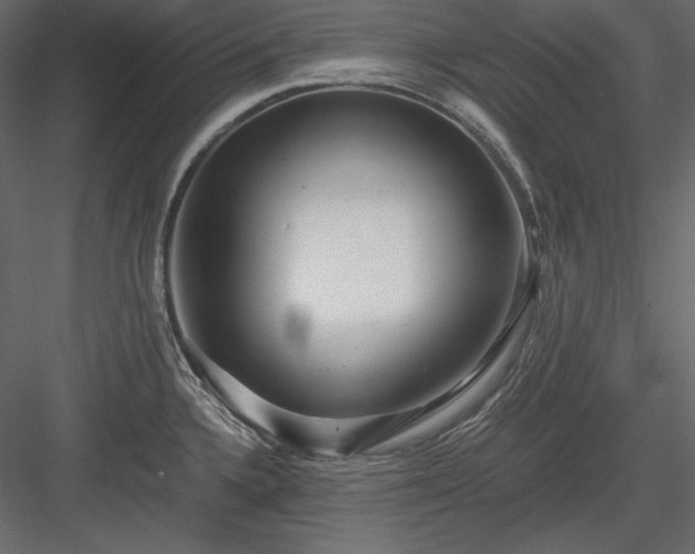 X0000083981336200702232034