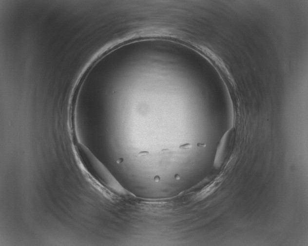 X0000083981342200702232034