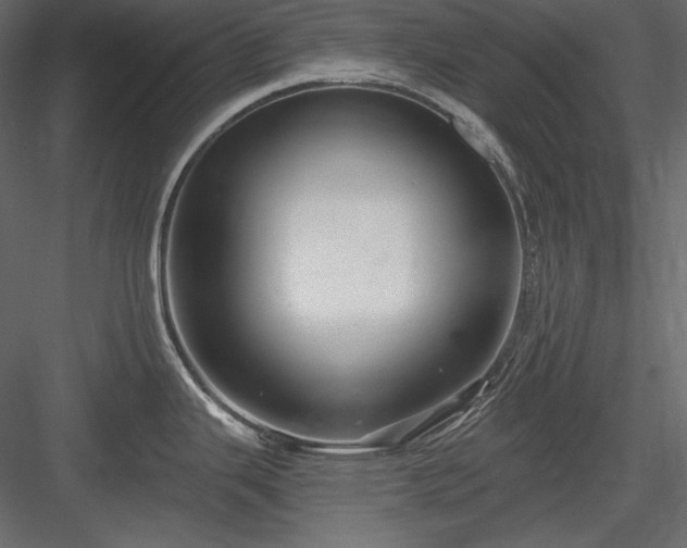 X0000083981343200702232034