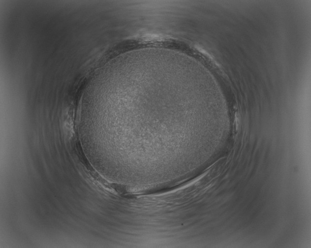 X0000083981348200702232033