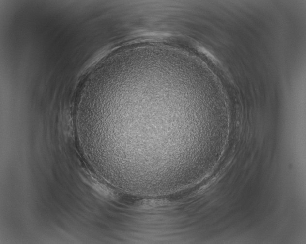 X0000083981354200702232033