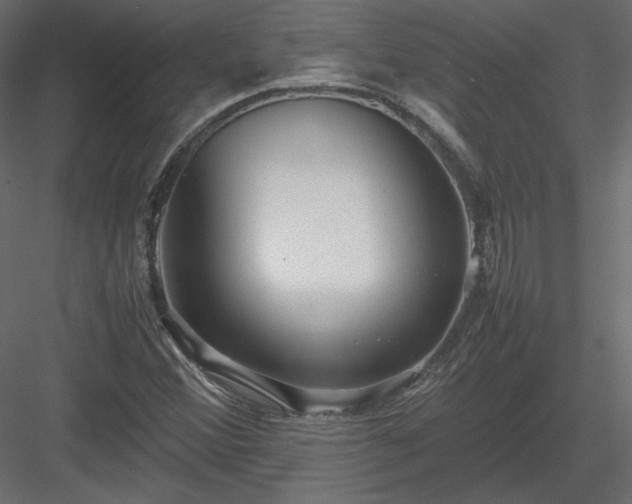 X0000083981356200702232033