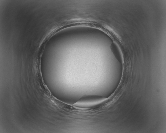 X0000083981357200702232033
