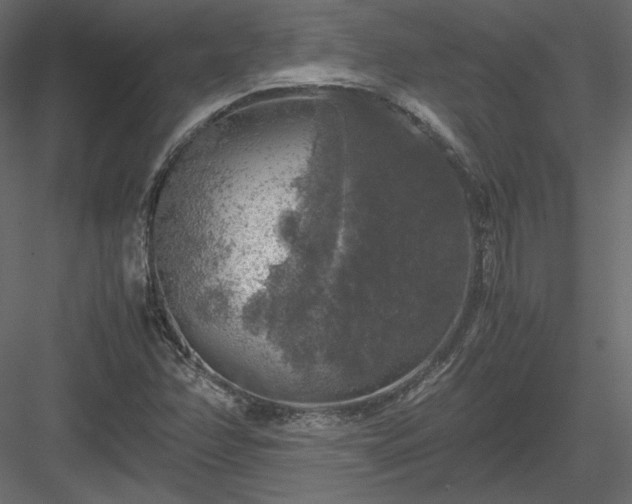 X0000083981358200702232033