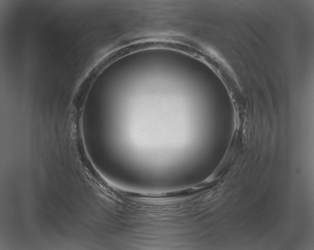 X0000083981360200702232033
