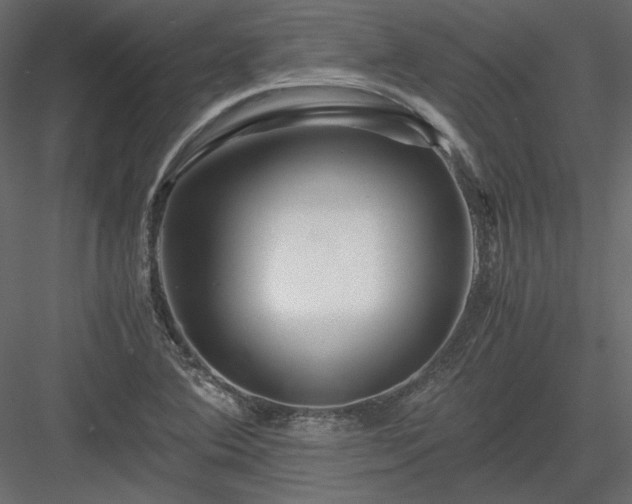 X0000083981364200702232033