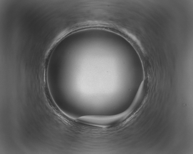X0000083981365200702232033