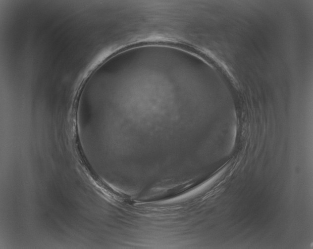 X0000083981367200702232033