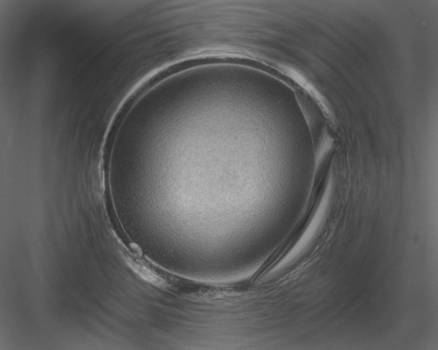 X0000083981372200702232033
