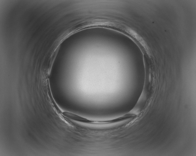 X0000083981377200702232033