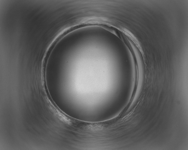 X0000083981384200702232033