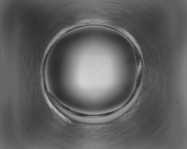 X0000083981389200702232033