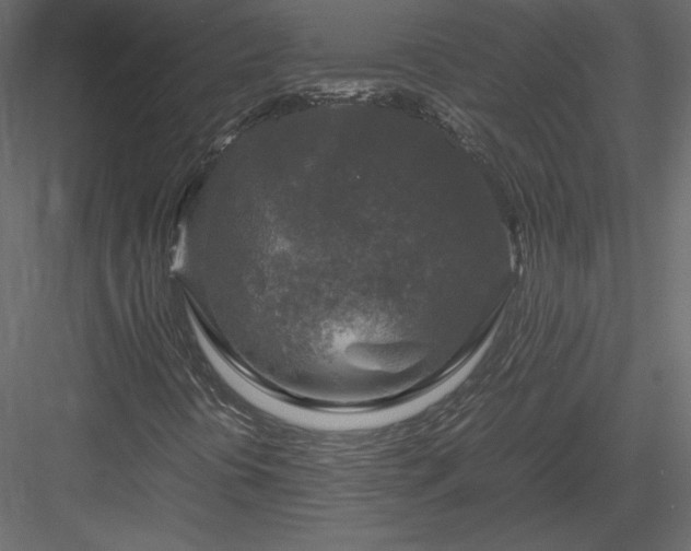 X0000083981394200702232032