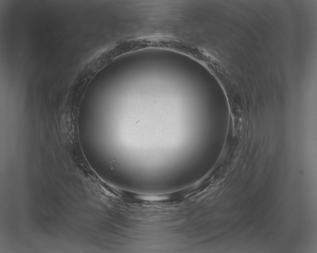 X0000083981398200702232032