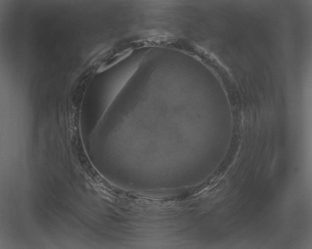X0000083981399200702232032