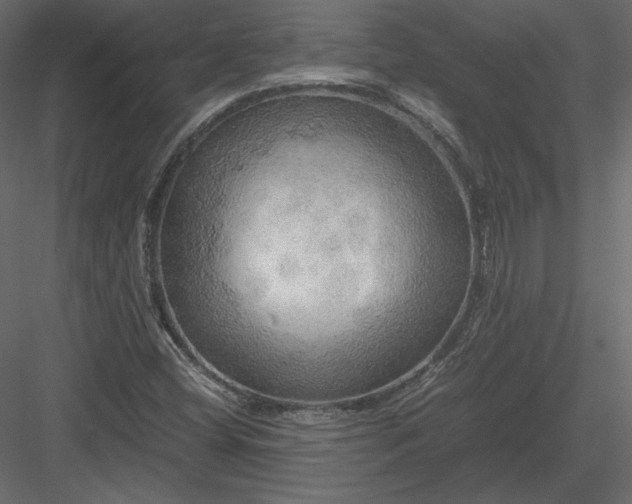 X0000083981404200702232032