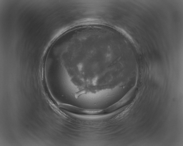 X0000083981413200702232032