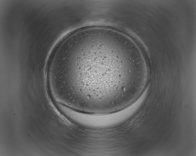 X0000083981416200702232032
