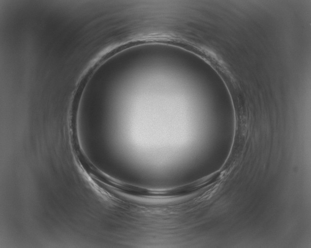 X0000083981422200702232032