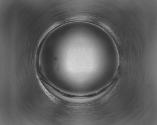 X0000083981426200702232032