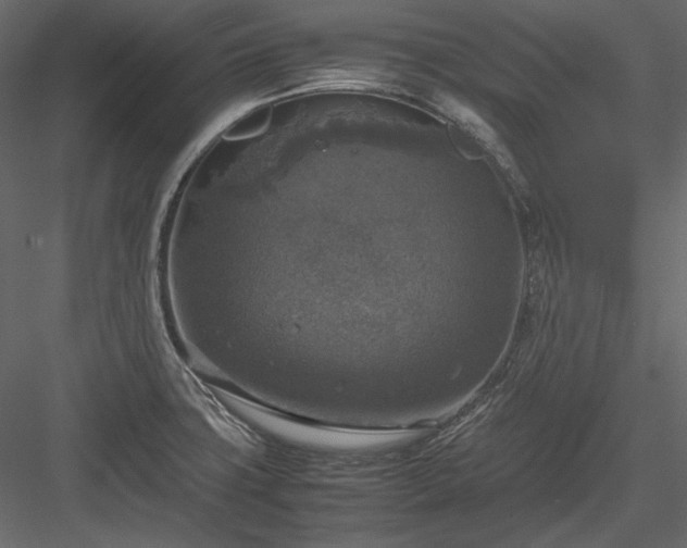 X0000083981427200702232032
