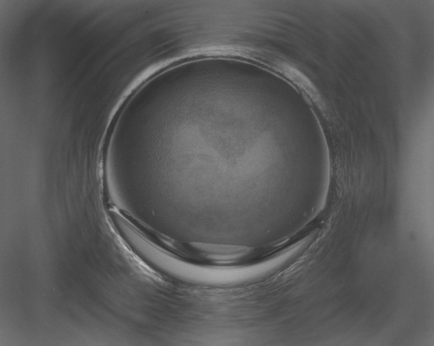 X0000083981428200702232033