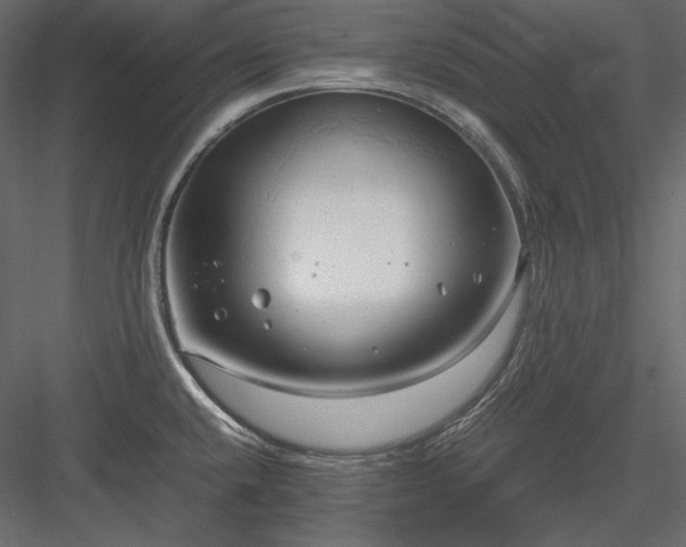 X0000083981432200702232033