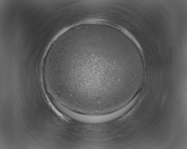 X0000083981437200702232033