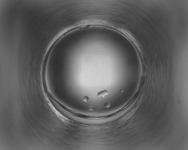 X0000083981438200702232033