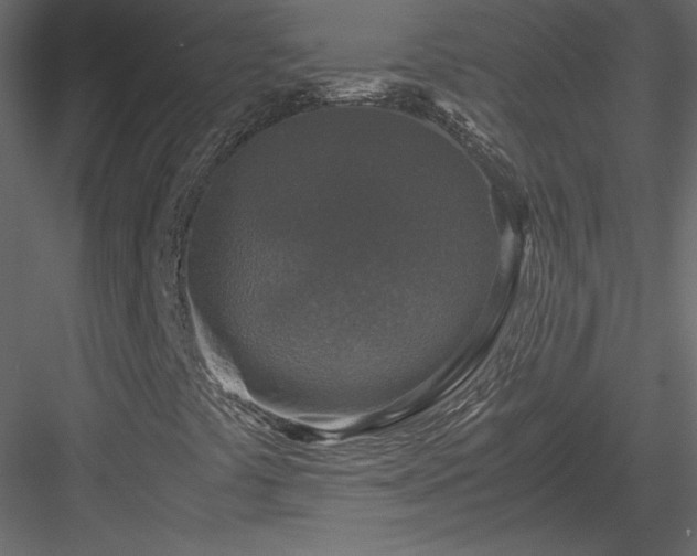 X0000083981441200702232032