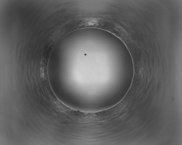 X0000083981442200702232032