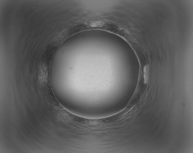 X0000083981443200702232032