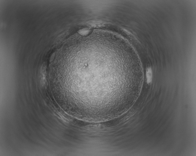 X0000083981444200702232032