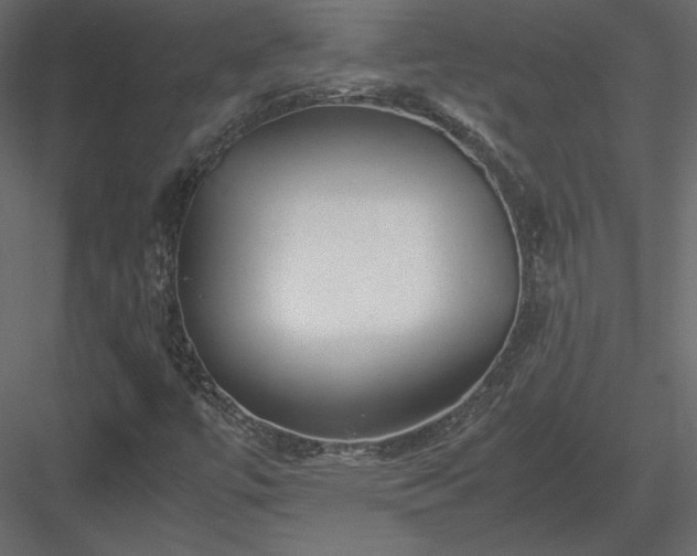 X0000083981447200702232032