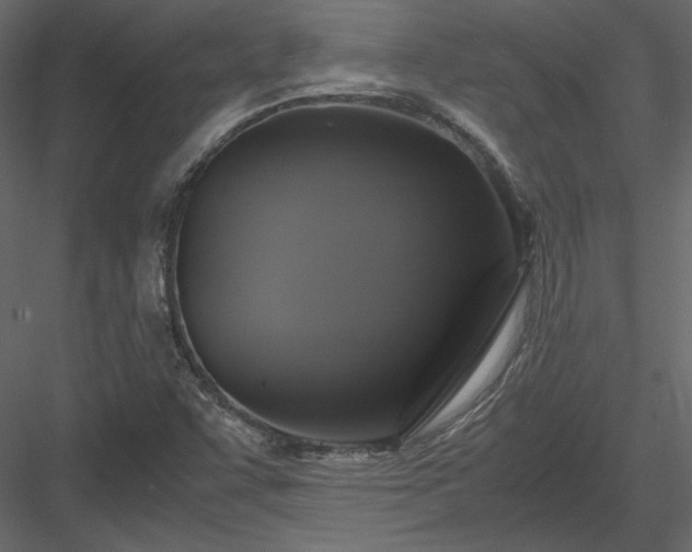 X0000083981455200702232032