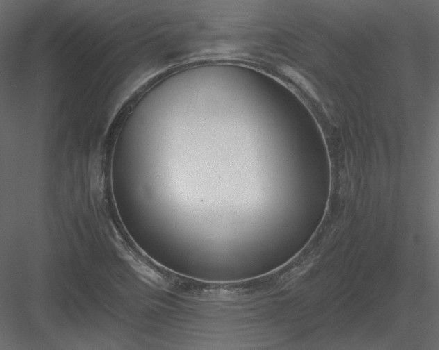 X0000083981458200702232032