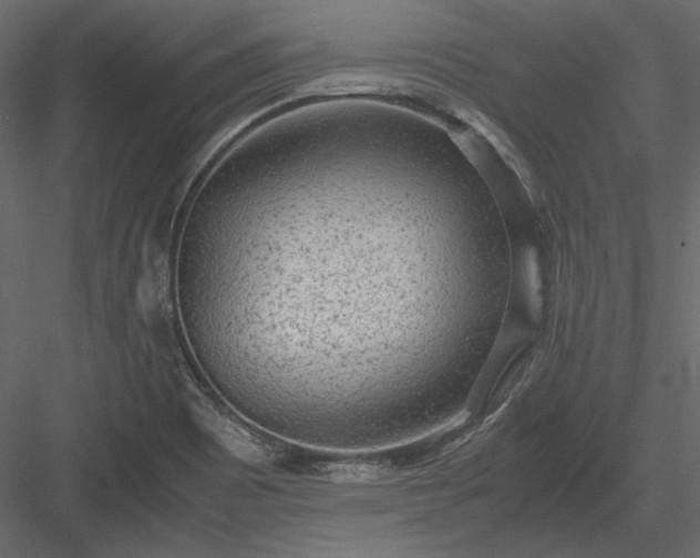 X0000083981465200702232031