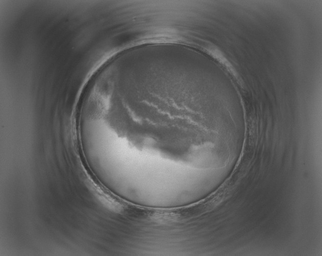 X0000083981466200702232031
