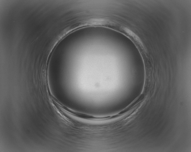 X0000083981473200702232031
