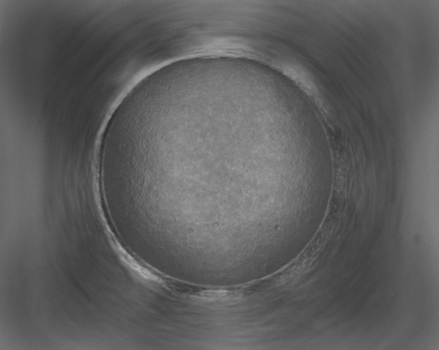 X0000083981478200702232031