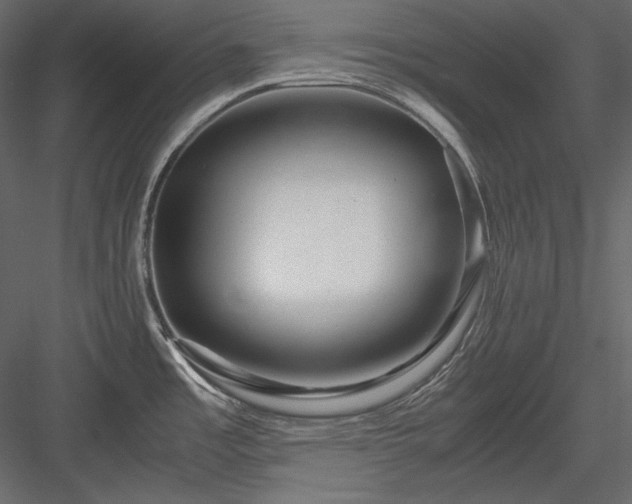 X0000083981485200702232031