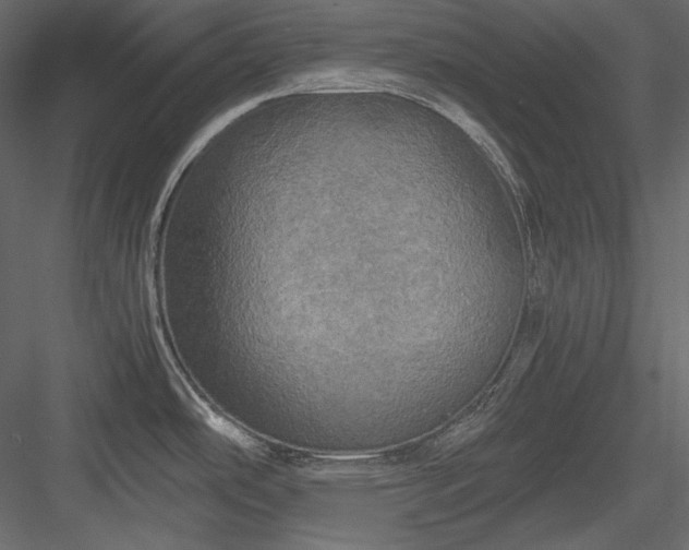 X0000083981486200702232031