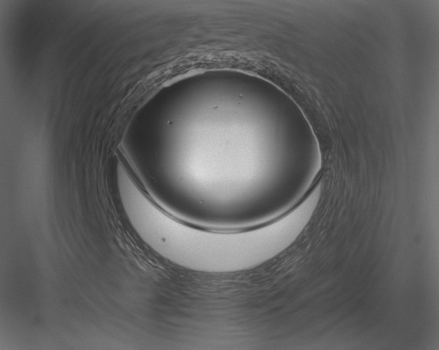 X0000083981489200702232030