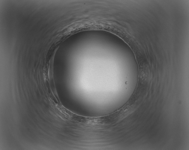 X0000083981490200702232030