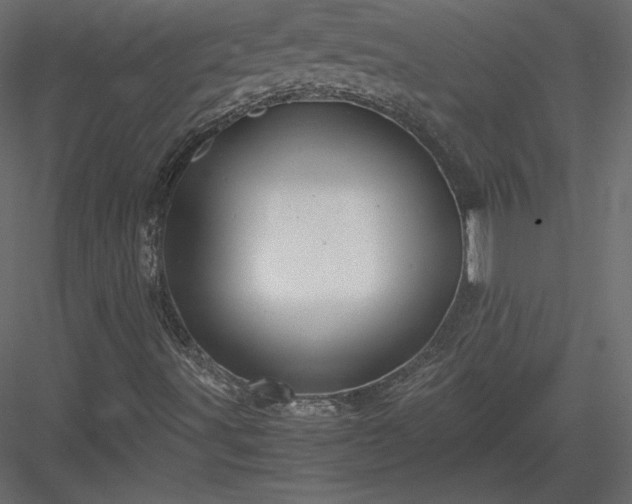 X0000083981491200702232030
