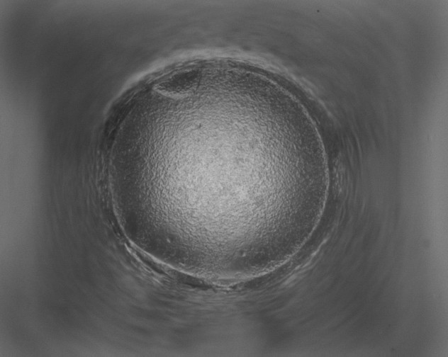 X0000083981494200702232030
